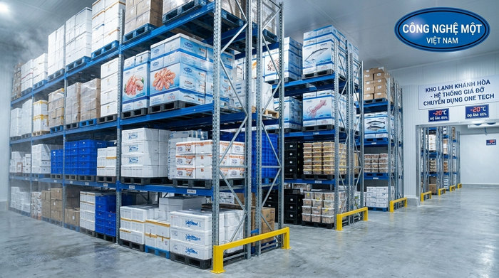Kệ pallet racking kho lạnh Khánh Hòa Kệ pallet racking kho lạnh cho kho logistics tại Khánh Hòa